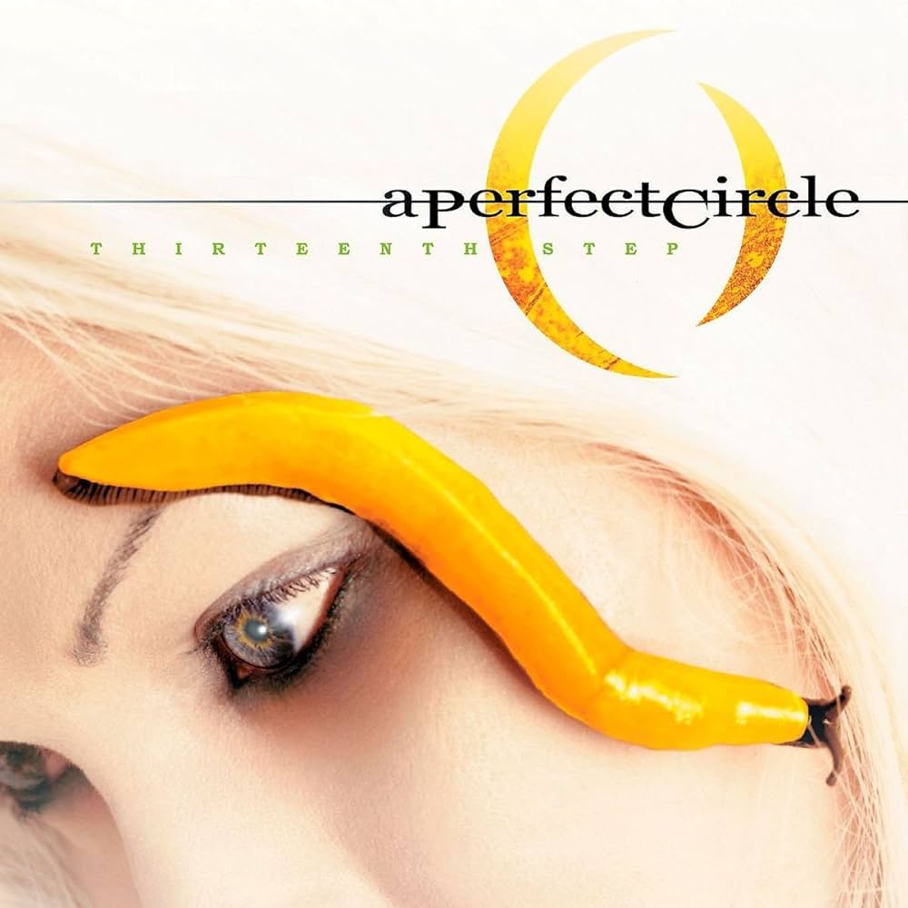 A PERFECT CIRCLE - THIRTEENTH STEP (CD)