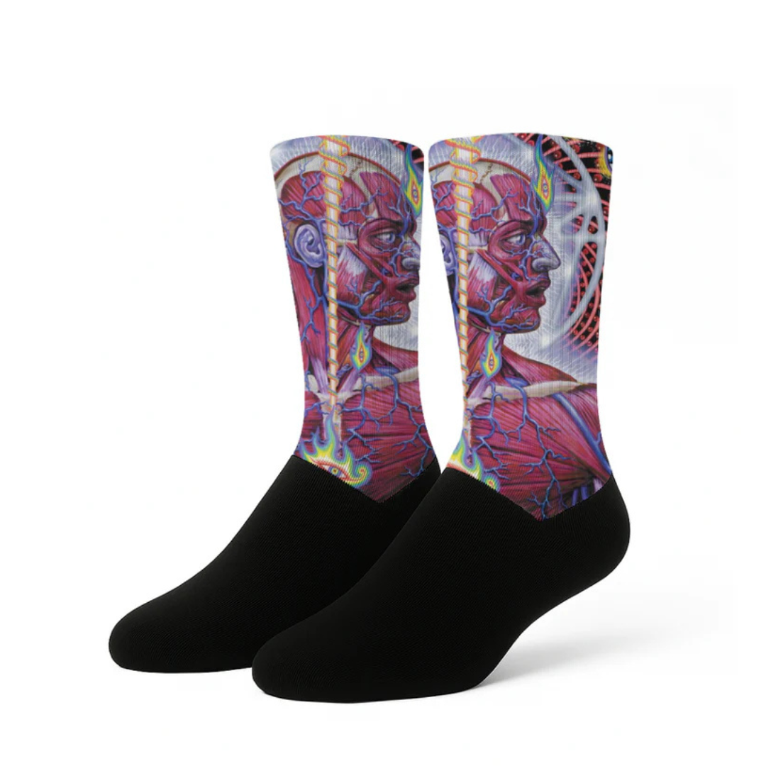 CALCETIN TOOL - LATERALUS